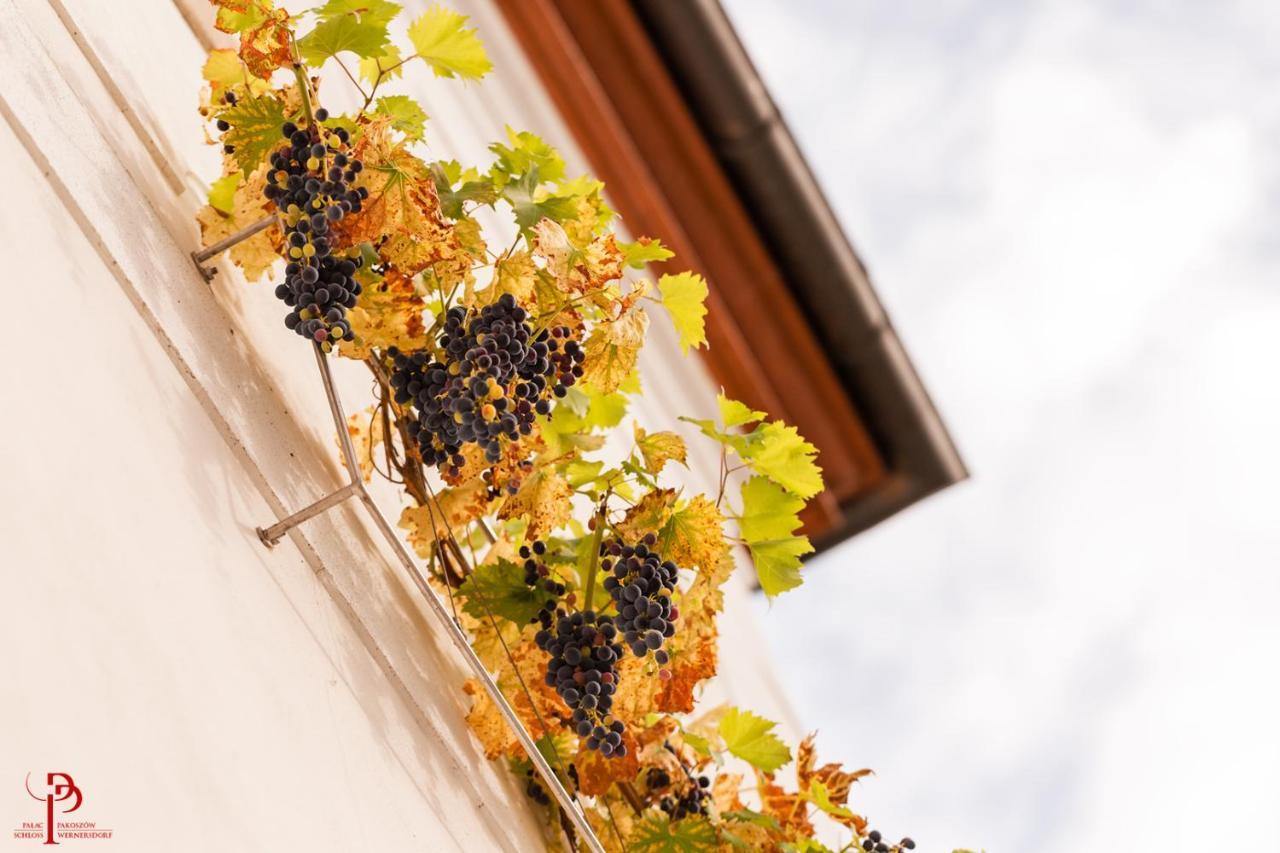 耶莱尼亚古拉 帕克斯佐宫殿旅馆酒店 外观 照片 Vineyards in the village of Saint-André-de-Valzach